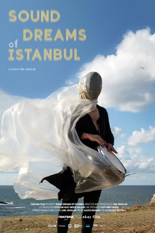 Sound Dreams of Istanbul afişi