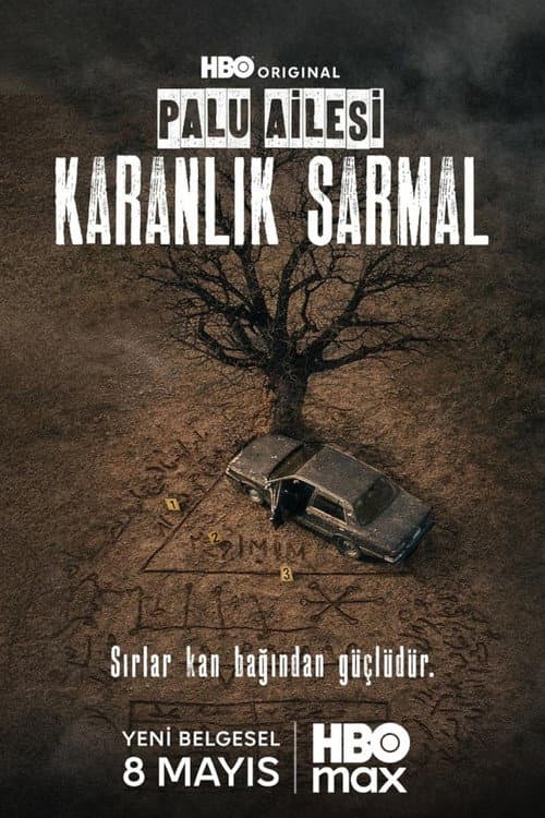 Palu Ailesi: Karanlık Sarmal afişi