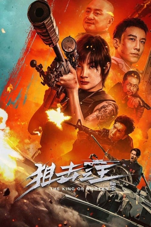 狙击之王：暗杀 afişi
