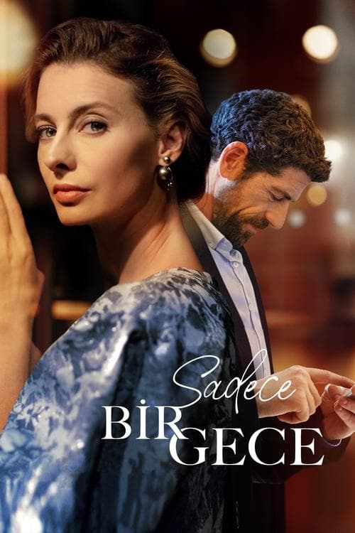 Sadece Bir Gece afişi