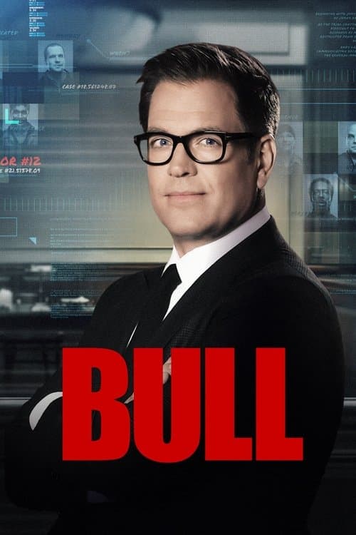 Bull afişi