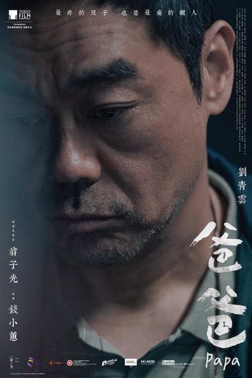 爸爸 afişi