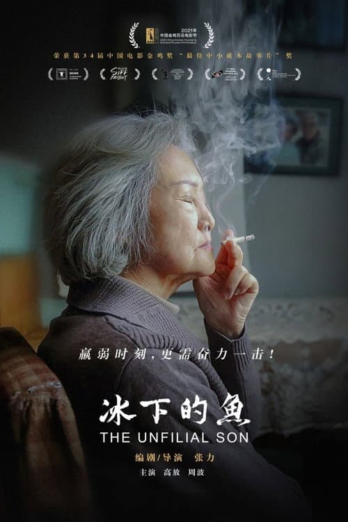 冰下的鱼 afişi
