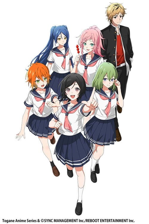 とーがね！おまつり部 afişi