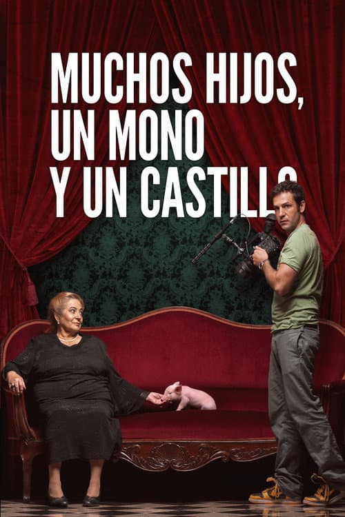 Muchos hijos, un mono y un castillo afişi