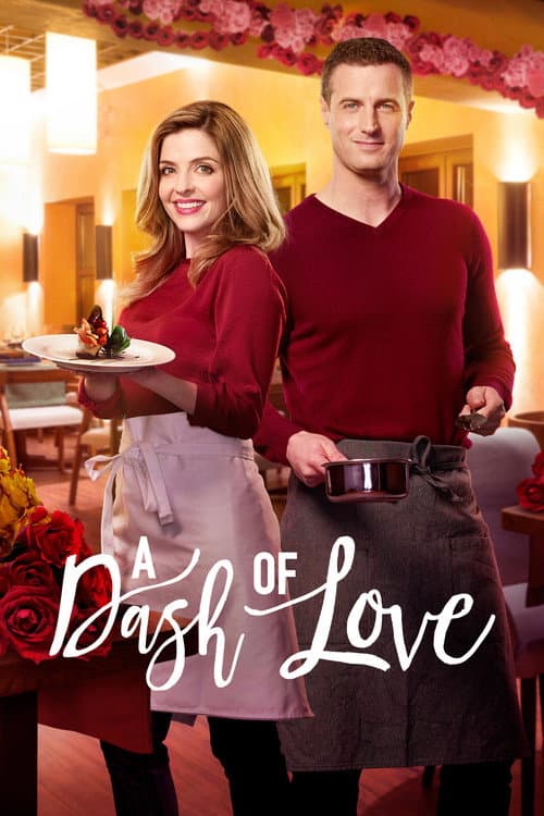 A Dash of Love afişi