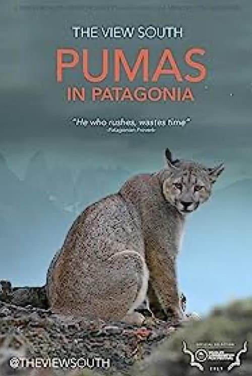 Pumas in Patagonia afişi