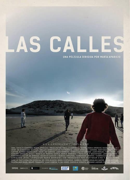 Las calles afişi