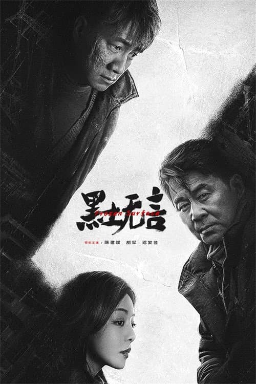黑土无言 afişi