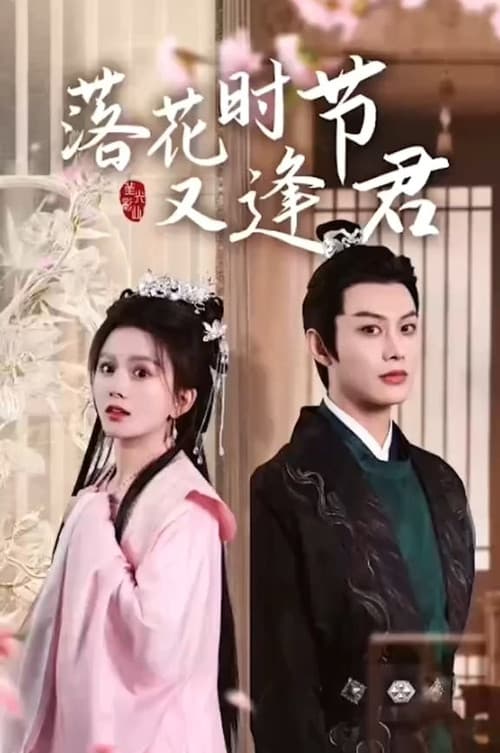 落花时节又逢君 afişi