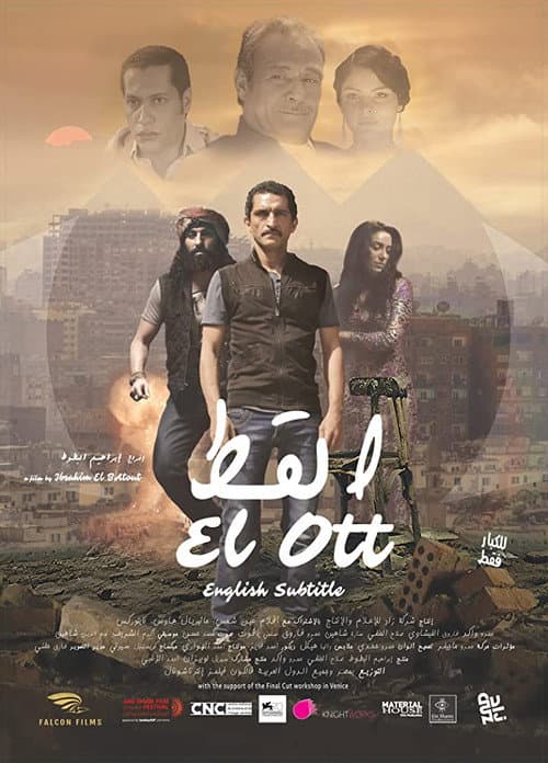القط afişi