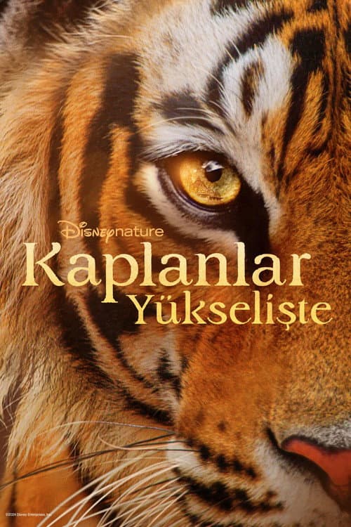 Kaplanlar Yükselişte afişi