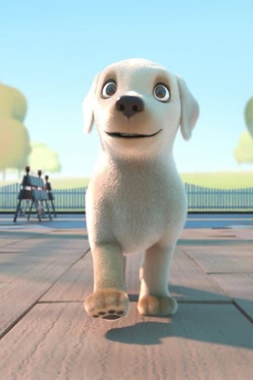 Pip afişi