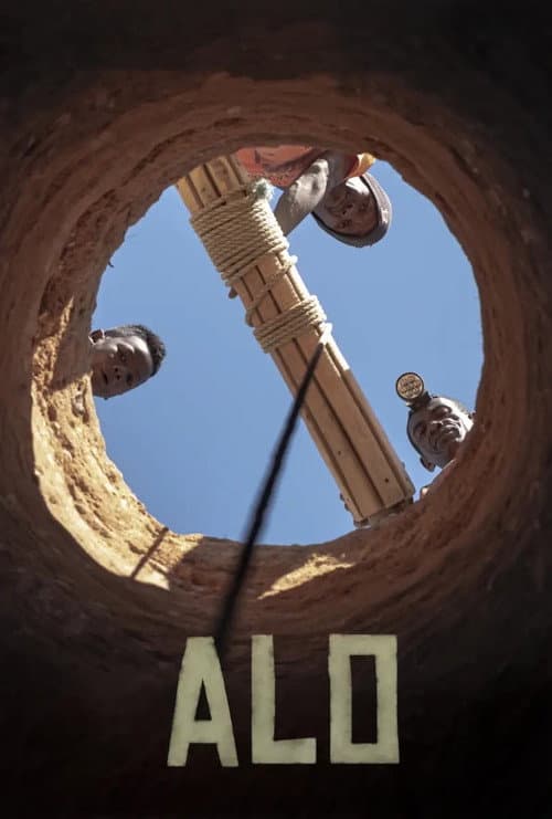 ALO afişi