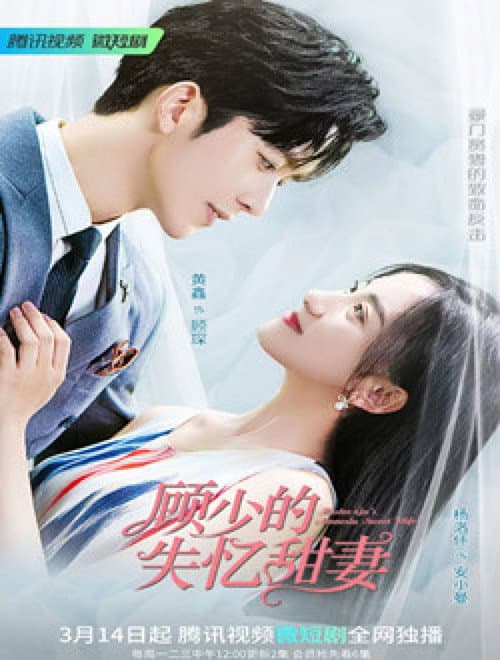 顾少的失忆甜妻 afişi