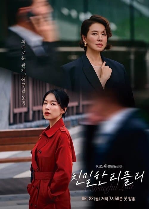 친밀한 리플리 afişi