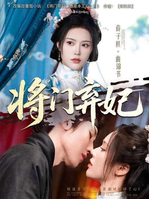 将门弃妃 afişi