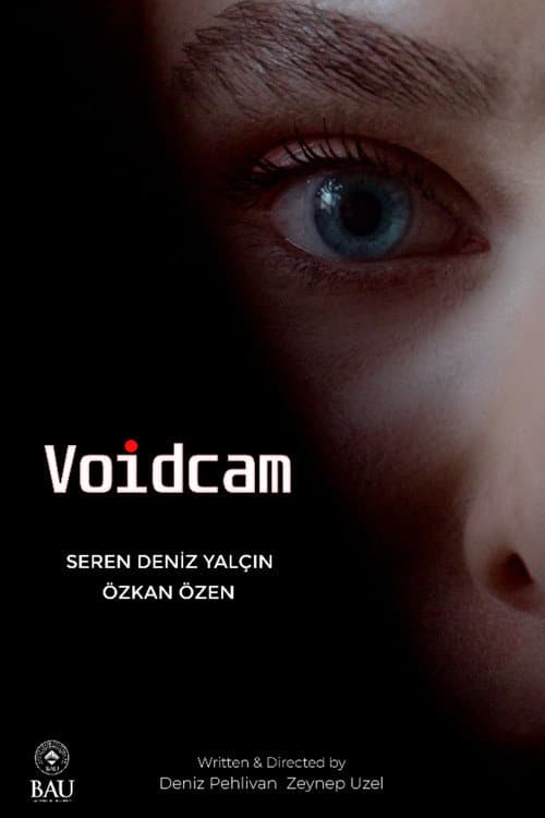 Voidcam afişi
