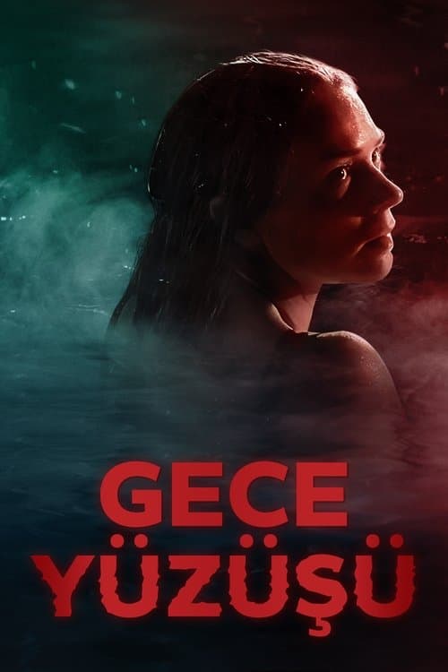 Gece Yüzüşü afişi