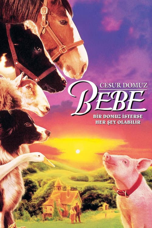 Cesur Domuz Bebe afişi