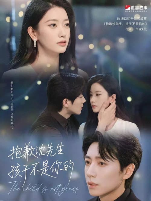 抱歉沈先生，孩子不是你的 afişi