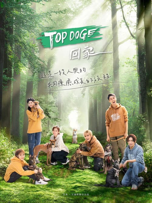 TOP DOG afişi