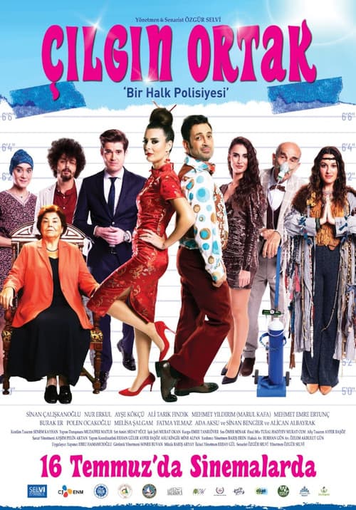 Çılgın Ortak afişi