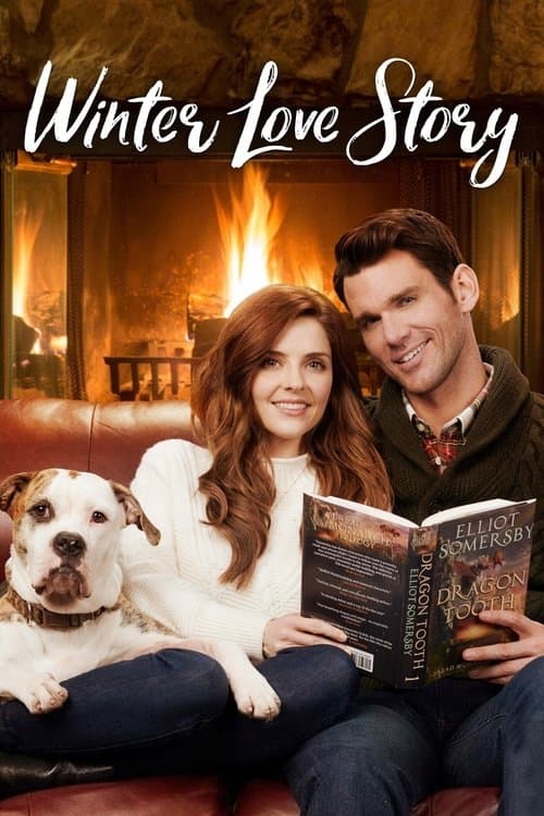 Winter Love Story afişi