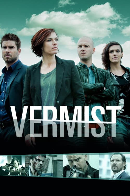 Vermist afişi
