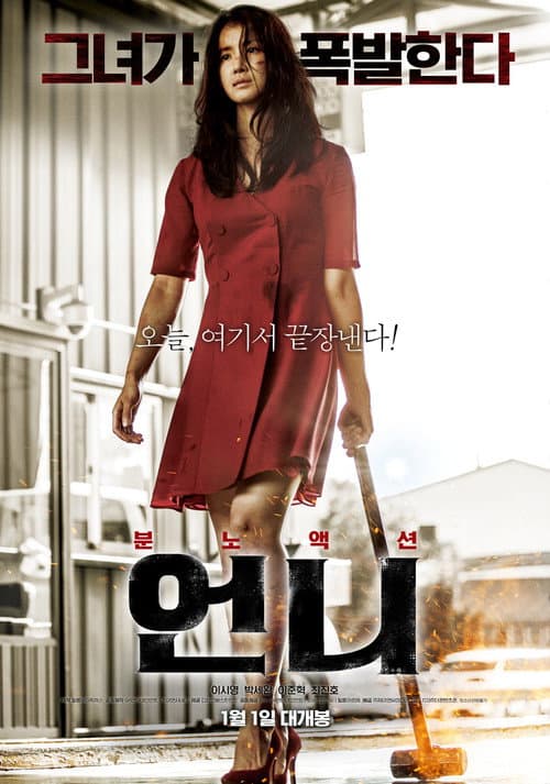 언니 afişi