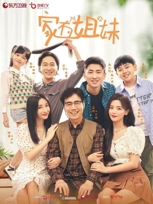 家有姐妹 afişi
