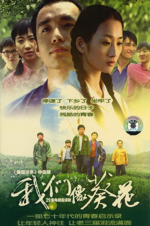 我们像葵花 afişi