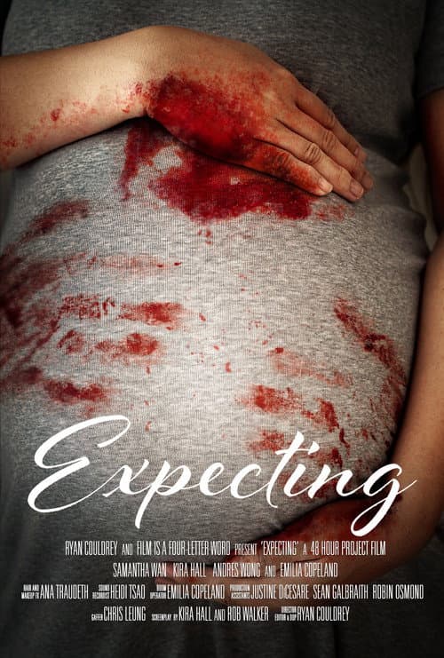 Expecting afişi