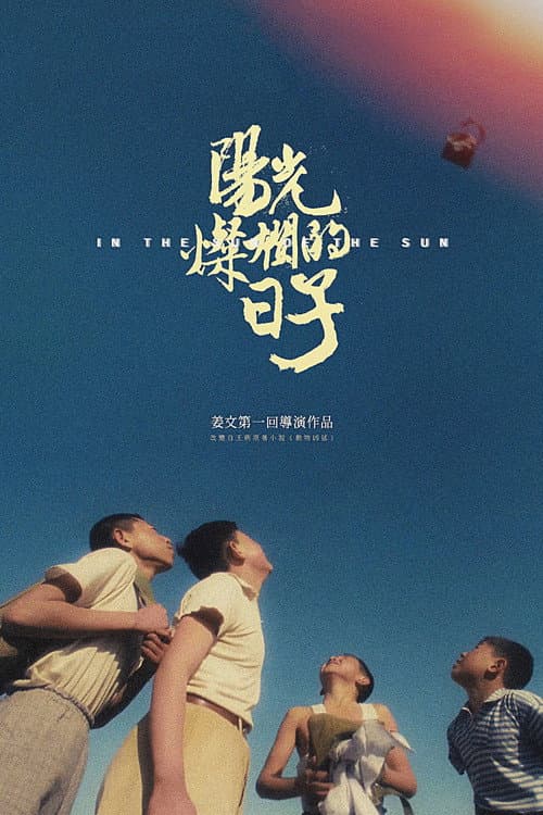 阳光灿烂的日子 afişi