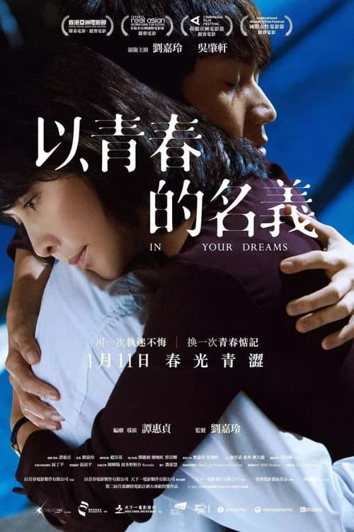 以青春的名義 afişi