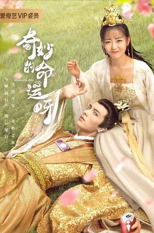 奇妙的命运呀 afişi