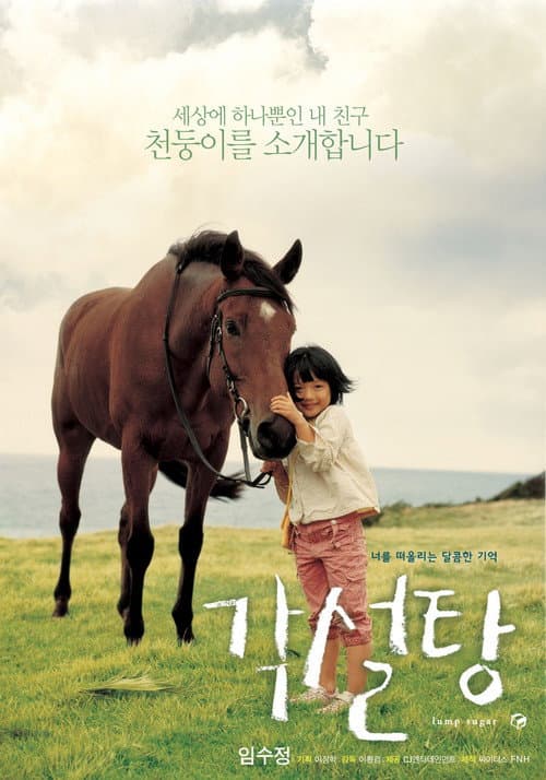 각설탕 afişi