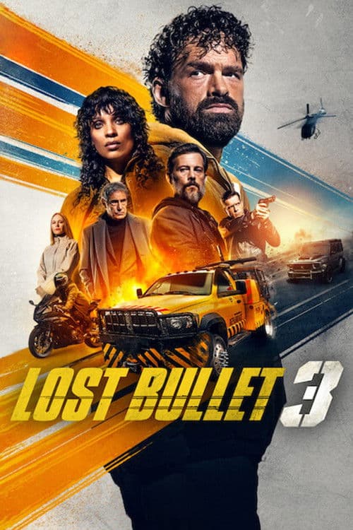 Lost Bullet 3 afişi
