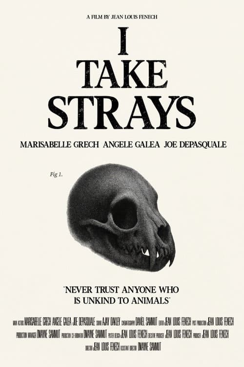 I TAKE STRAYS afişi