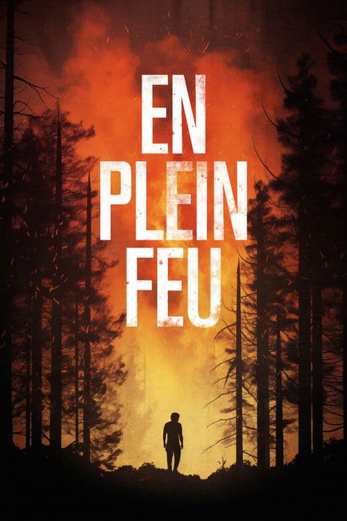 En plein feu afişi