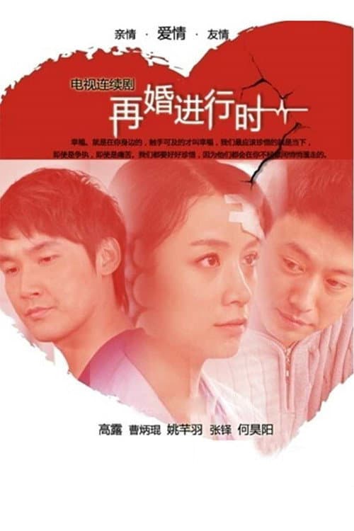 再婚进行时 afişi