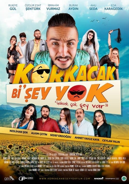 Korkacak Bi'şey Yok afişi