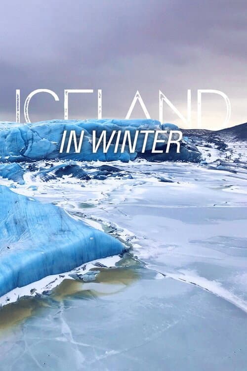 Iceland in Winter afişi
