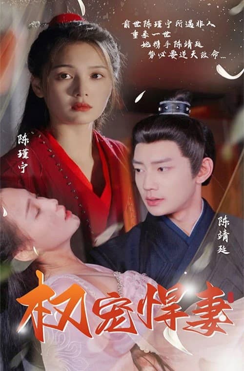 权宠悍妻 afişi