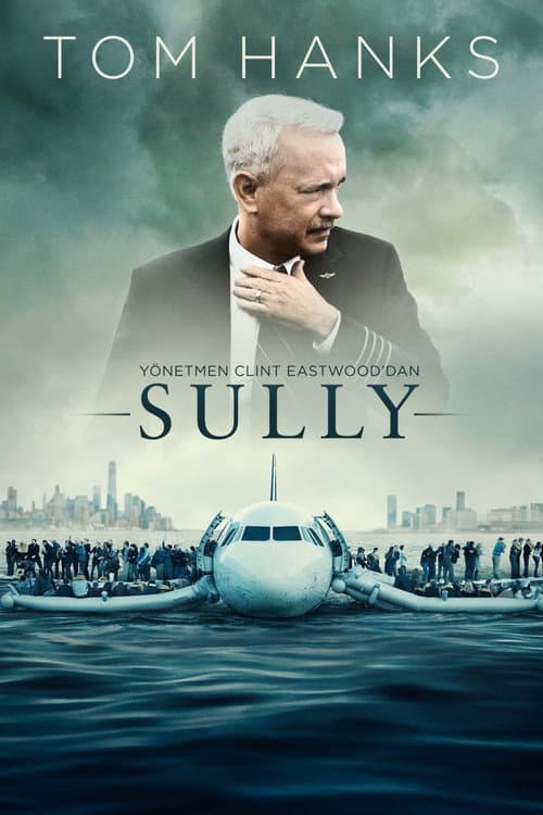 Sully afişi