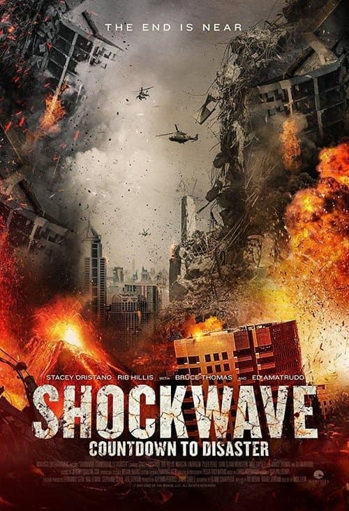 Shockwave: Countdown to Disaster afişi