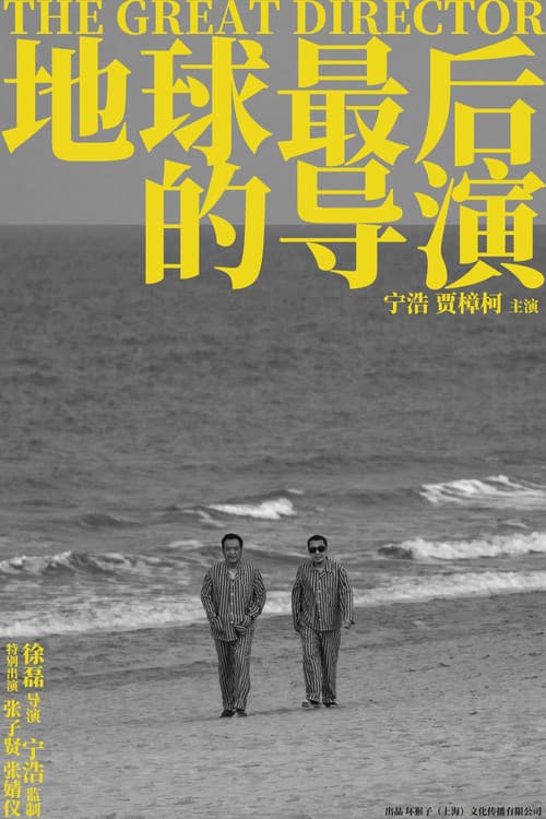 地球最后的导演 afişi