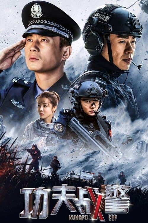 功夫战警 afişi