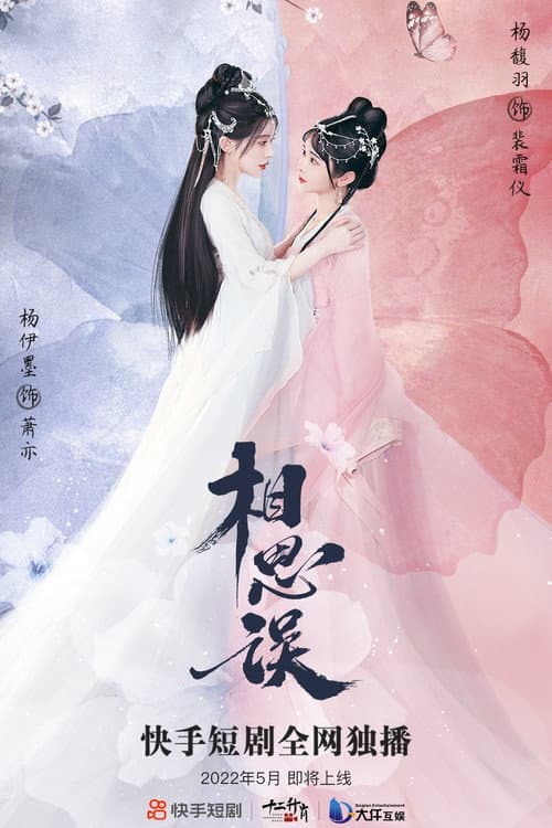 相思误 afişi