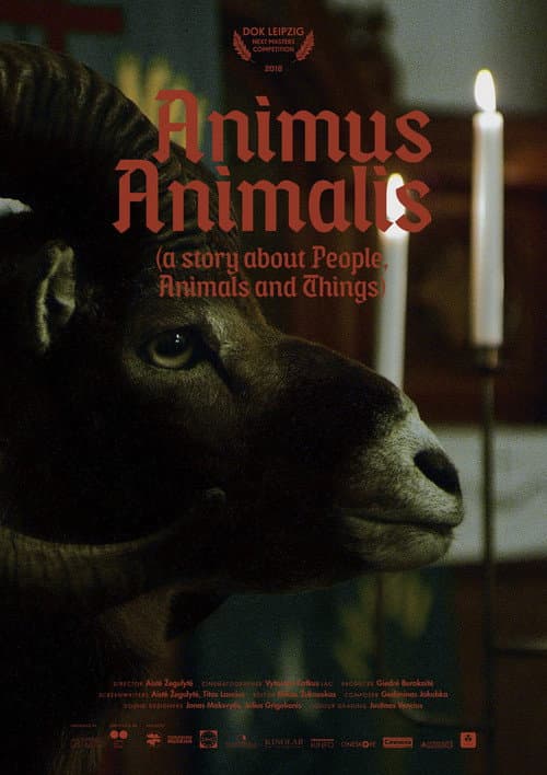 Animus Animalis (istorija apie žmones, žvėris ir daiktus) afişi